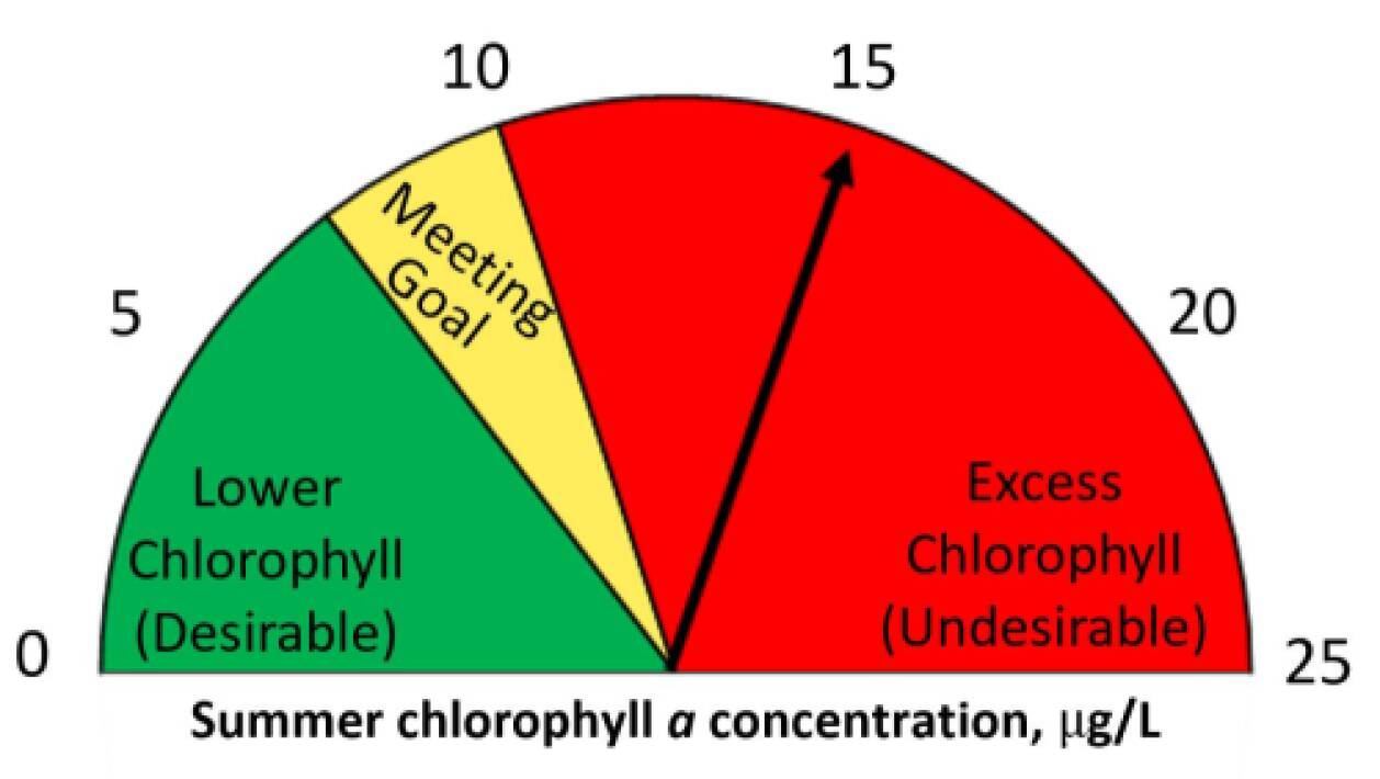 Summer 2025 chl a = 15 ug/L.